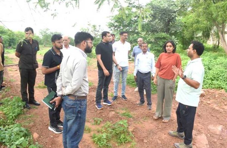 शहरों को हरा-भरा और प्रदूषण मुक्त बनाएगी नमो हरित-नगर योजना,