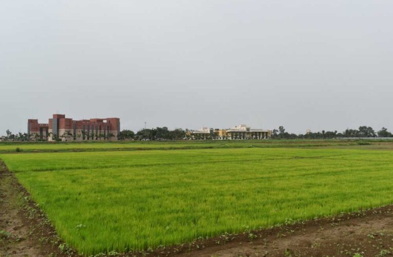विलंबित मानसून के बीच धान किसानों के लिए आईसीएआर-एनआईबीएसएम की विशेष सलाह