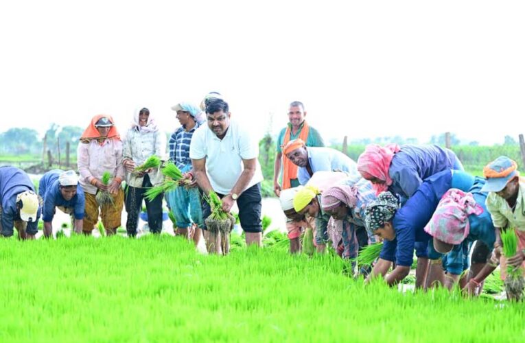 कृषि कार्यों में शामिल हुए शिक्षा मंत्री गजेन्द्र यादव