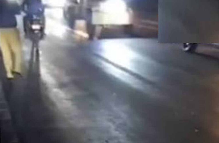 राजगढ़ में दर्दनाक हादसा, ट्रक ने टोल प्लाजा के पास 17 मवेशियों को रौंदा; बैरिकेड्स लगाकर चालक पकड़ा