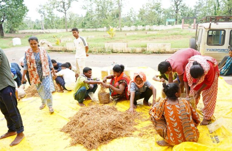 सुकमा में मशरूम उत्पादन का प्रशिक्षण बना आत्मनिर्भरता की नई राह