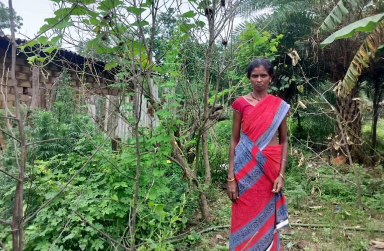 किचन गार्डन से आत्मनिर्भर बन रहीं बिहान की दीदियां