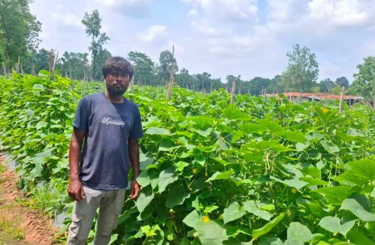 उद्यानिकी विभाग की योजना से बदली कमार कृषक की तकदीर