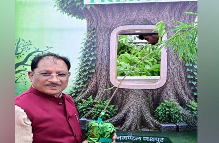 आज लगाया गया हर पौधा आने वाली पीढ़ियों के सुरक्षित भविष्य का आधार बनेगा : मुख्यमंत्री  विष्णुदेव साय