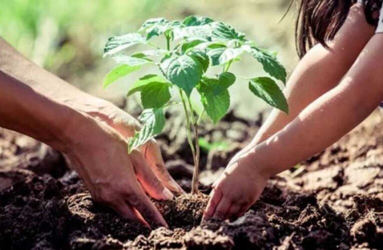 एक पेड़ मां के नाम 3.0′ से हरित चेतना को मिलेगा नया विस्तार, जुलाई में विद्यालयों में पर्यावरण संरक्षण का महाअभियान