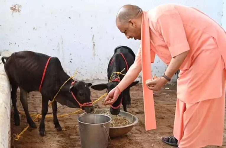 यूपी में 10 हजार गो मित्र बनेंगे, योगी सरकार Gen Z को गो संरक्षण से जोड़ेगी