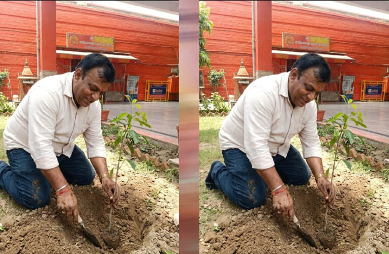 प्रदेश उपाध्यक्ष महेश सिनकर ने आम के वृक्ष मंदिर परिसर में लगाए