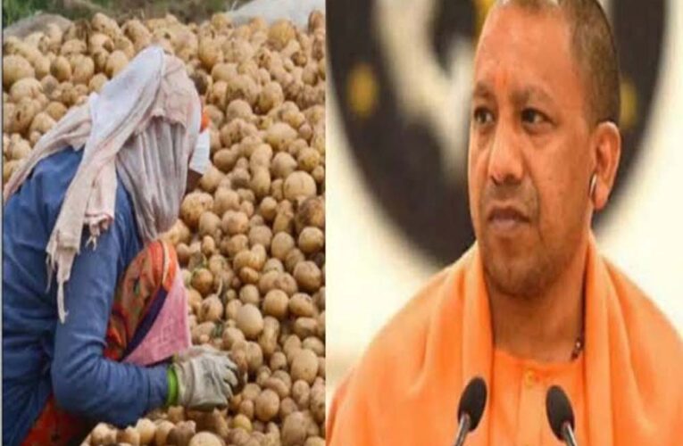 योगी सरकार का आलू किसानों को बड़ा तोहफा, भंडारण शुल्क में ₹1 किलो राहत