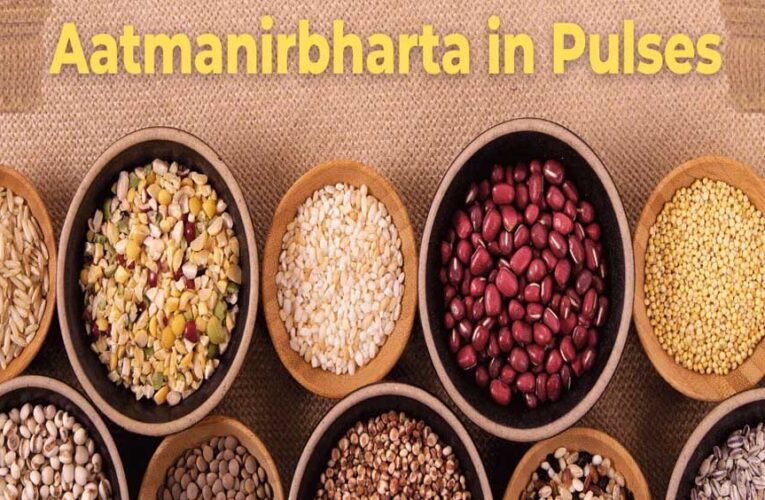 मिशन फॉर आत्मनिर्भरता इन पल्सेस की गतिविधियों की मॉनिटरिंग के लिए राज्य संचालन समिति गठित
