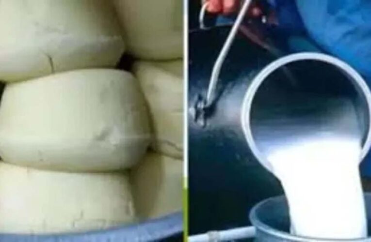 यूपी में मिलावटखोरों पर बड़ा शिकंजा, 26 लाख की खाद्य सामग्री जब्त; 18 FIR दर्ज