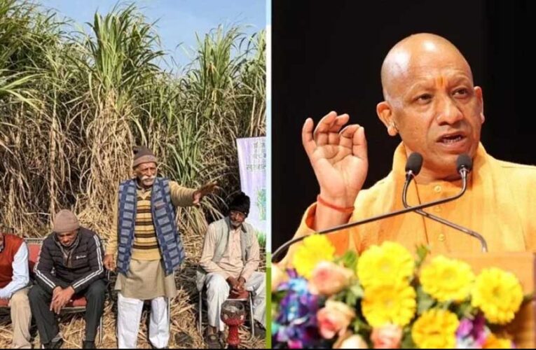 योगी सरकार ने गन्ना किसानों को किया 3.25 लाख करोड़ रुपये का भुगतान