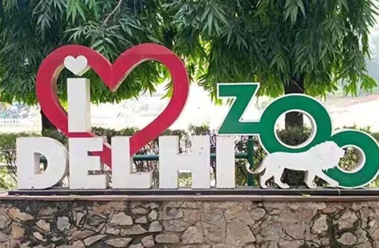 दिल्ली चिड़ियाघर का होगा कायाकल्प, अगले महीने से 400 करोड़ की मॉडर्नाइजेशन योजना पर काम शुरू