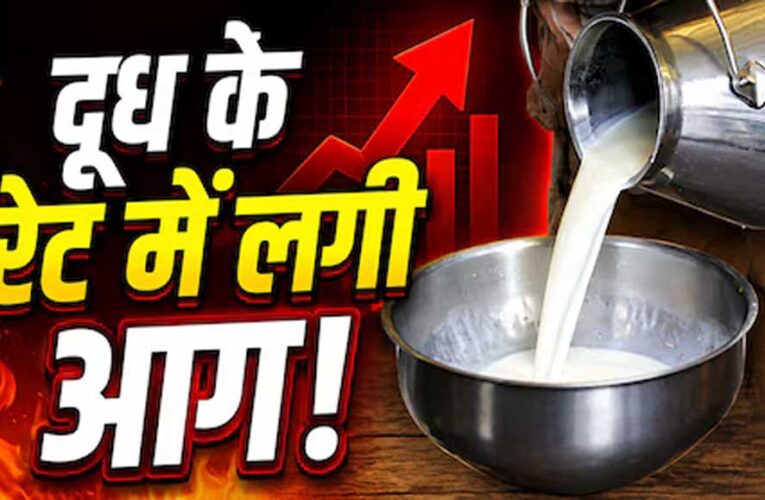 त्योहारों से पहले महंगाई का झटका! दूध के दाम सीधे ₹9 बढ़े, जानें नई कीमतें कब से लागू