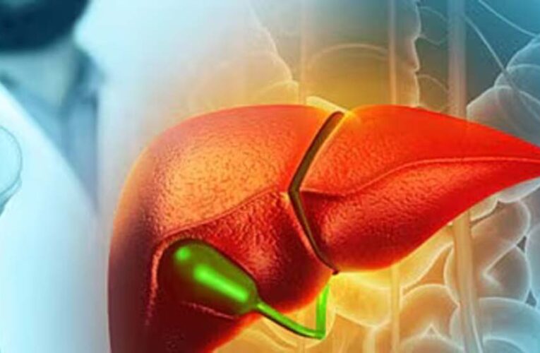 लिवर को हेल्दी रखने के लिए डाइट में शामिल करें ये 5 सब्जियां, गाजर से चुकंदर तक हैं फायदेमंद