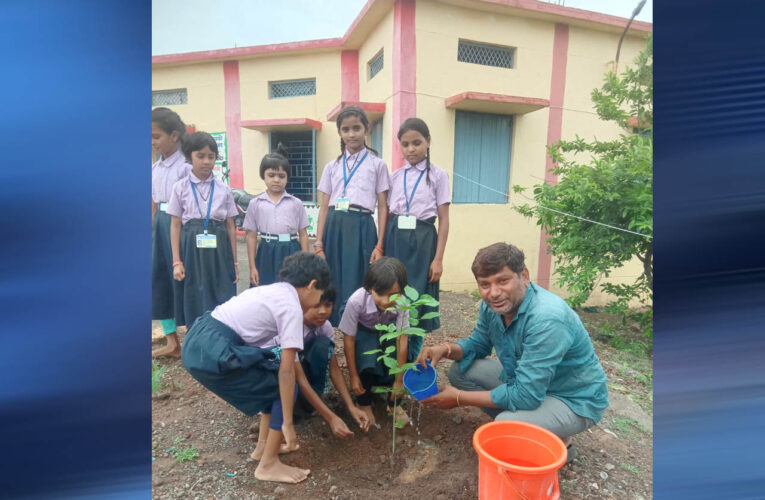 प्रदेश सचिव राजेंद्र सोलंकी ने एक वृक्ष स्कूल प्रांगण में लगाया