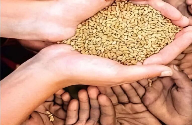 राजस्थान में राशन वितरण पर संकट! 4 सितंबर के बाद खराब हुई POS मशीन तो नहीं मिलेगा गेहूं