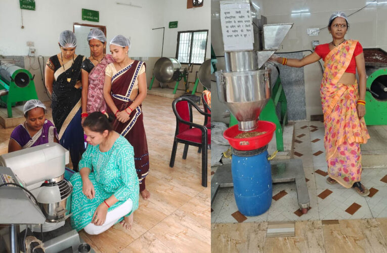 महुआ से बदली महिलाओं की तकदीर, वन धन योजना ने दी आत्मनिर्भरता की नई पहचान