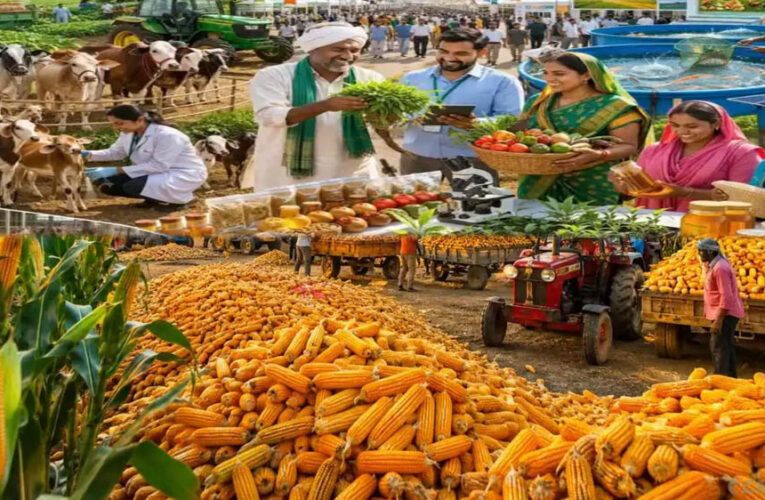MP Krishi Mandi Categorization: 6 करोड़ कमाई और 2.5 लाख टन आवक पर मिलेगी ‘क’ श्रेणी, जानें मध्य प्रदेश सरकार का नया फॉर्मूला