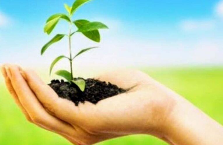 अधिमान्य पत्रकार नेतृत्व समिति का महा-वृक्षारोपण अभियान: मध्य प्रदेश में 3000 और छत्तीसगढ़ में 1000 पौधे रोपे गए