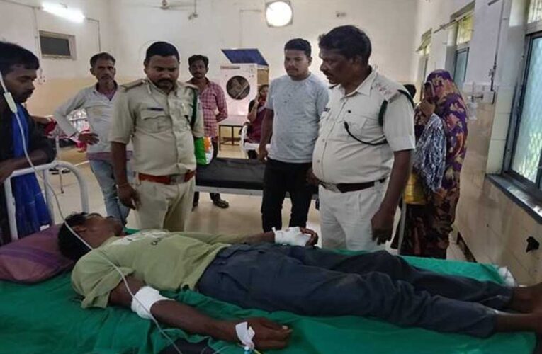 बाघिन ने किया चरवाहे पर हमला, भैंसों की वफादारी से बची जान