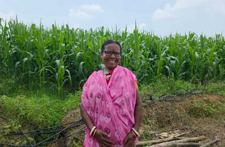 “बहनों का मान, विष्णु भैया का सम्मान—महिलाओं के सशक्तिकरण से समृद्ध छत्तीसगढ़ महान”