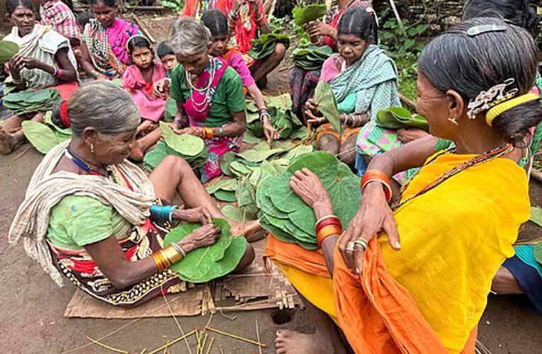 Bastar में सुरक्षा से विकास तक बदली तस्वीर, पुलिस कोऑर्डिनेशन सेंटर में अधिकारियों ने दिया प्रेजेंटेशन