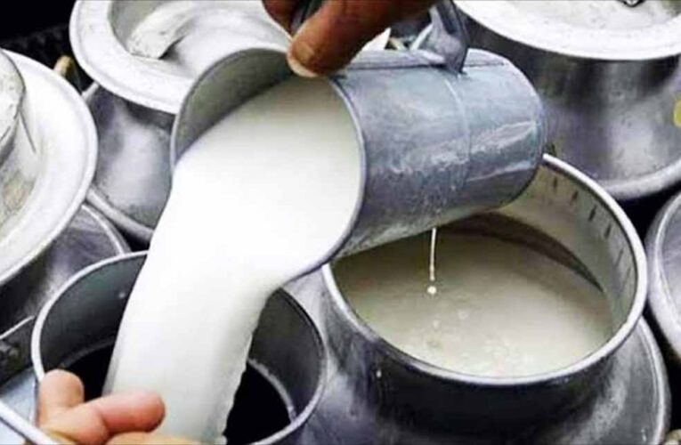 CG में मिलावटखोरों पर सख्त हुए स्वास्थ्य मंत्री, दूध-दही और मक्खन में गड़बड़ी करने वालों को चेतावनी
