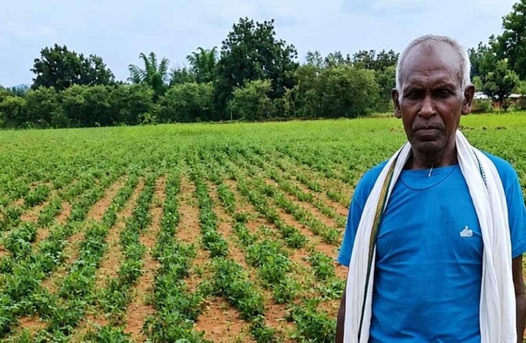 NMEO योजना से किसान बेसाहू राम की खेती को मिली नई दिशा