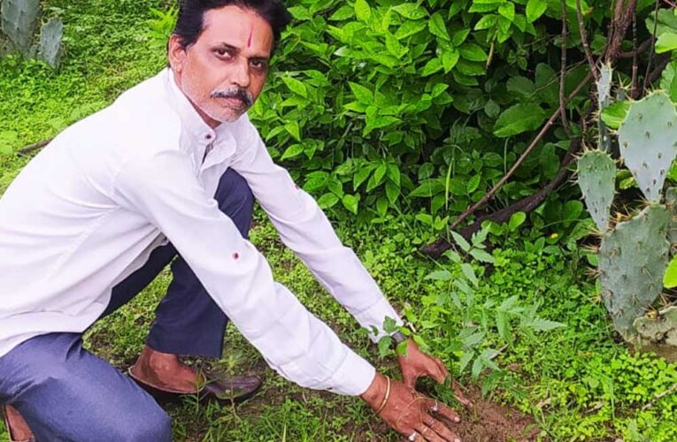 शहडोल संभागीय अध्यक्ष प्रकाश सोनी ने लगाए नीम के पौधे