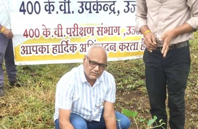 विश्व प्रकृति संरक्षण दिवस पर एमपी ट्रांसको के सब-स्टेशन में हुआ सामूहिक पौध-रोपण