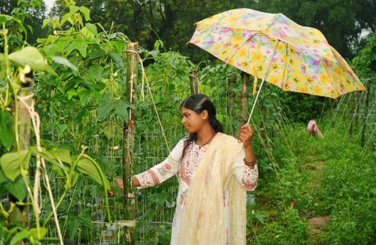ड्रिप विधि से सब्जी की खेती ने बनाया ‘लखपति दीदी’, सालाना डेढ़ लाख की कमाई