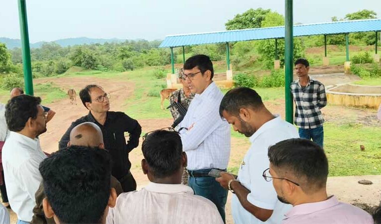 कलेक्टर ने निर्माणाधीन गौ अभ्यारण्य का किया निरीक्षण