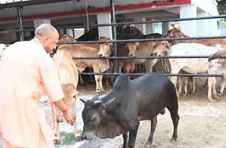 सीएम योगी की गोसंरक्षण नीति का असर : करोड़ों कमा रहे युवा, बढ़ रहा रोजगार