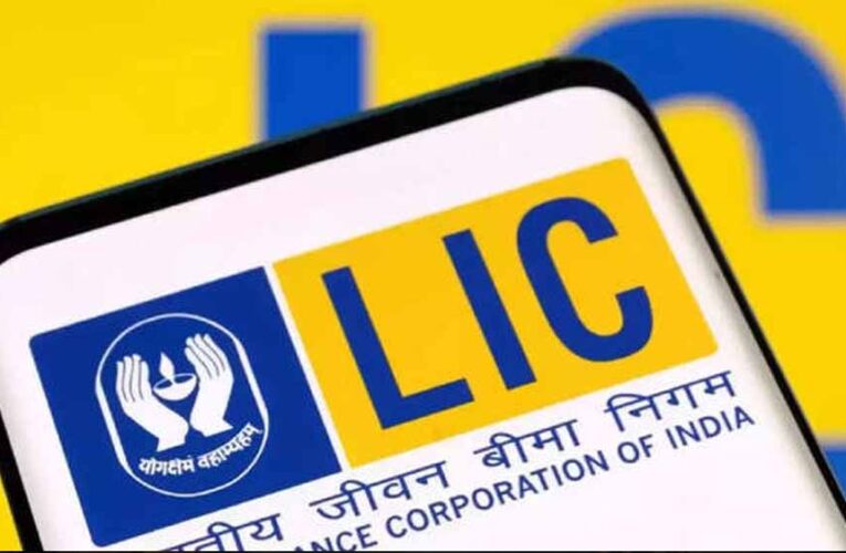 LIC के बाद अब इन कंपनियों पर सरकार की नजर, हिस्सेदारी बिक्री से मिल सकता है कमाई का मौका