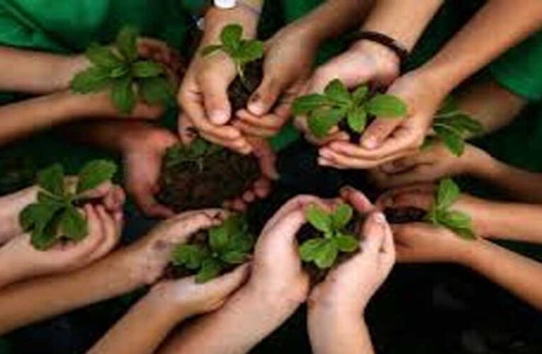जबलपुर में आज 11 लाख पौधों का महाअभियान, ‘एक पेड़ मां के नाम’ से हरित मध्यप्रदेश को मिलेगी नई पहचान