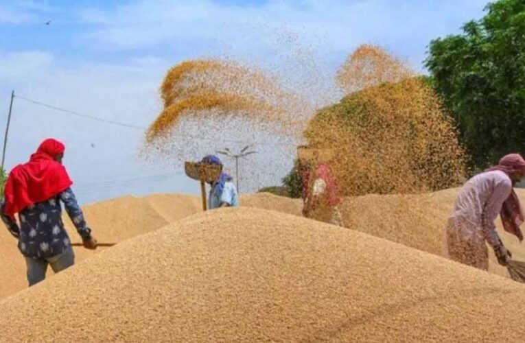 योगी सरकार में एमएसपी पर रिकॉर्ड गेहूं खरीद से किसानों को मिली आर्थिक मजबूती