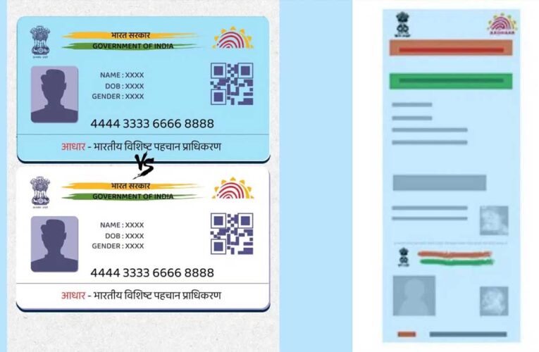 नीला और सफेद आधार कार्ड में क्या है अंतर? जानें बाल आधार के नियम और बायोमेट्रिक अपडेट की उम्र