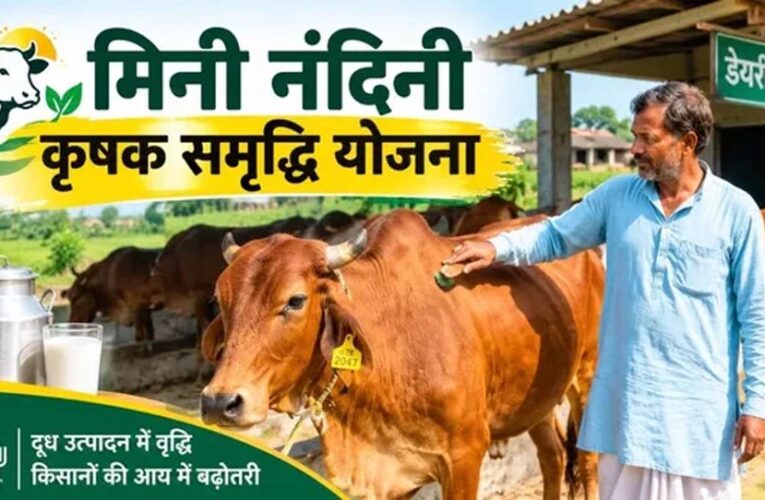 गोरखपुर में मिनी नंदिनी योजना का बढ़ा दायरा, 20 नए लाभार्थी जुड़े; संख्या 26 हुई