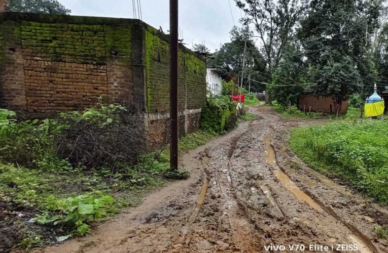 वार्ड क्रमांक 15 में सड़क नहीं, कीचड़ से गुजरने को मजबूर वार्डवासी