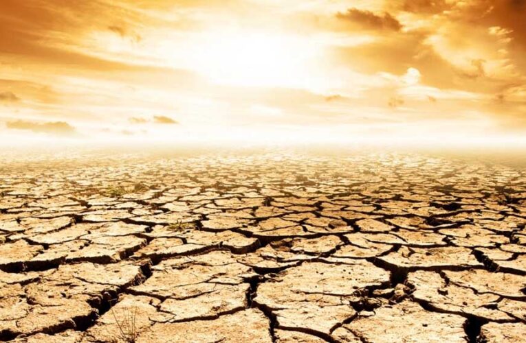 खतरे की घंटी! 2100 तक 40% धरती बन सकती है रेगिस्तान, इंसानों से लेकर पेड़-पौधों तक पर मंडराएगा संकट
