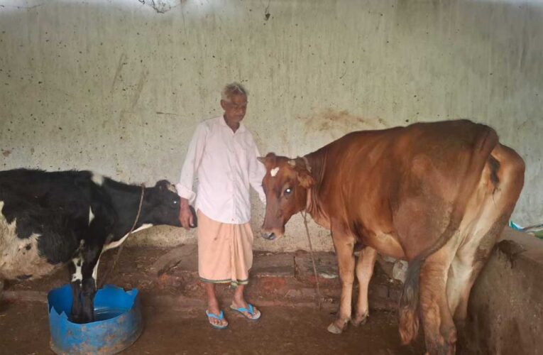 ’पीएम किसान सम्मान निधि की बचत से खरीदी पहली गाय, आज 10 गायों के साथ आत्मनिर्भर बने 75 वर्षीय परशुराम गुप्ता’