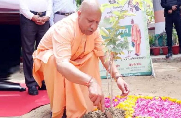 शिक्षकों के सम्मान में सभी वन प्रभाग लगाएंगे ‘एक पेड़ गुरु के नाम’